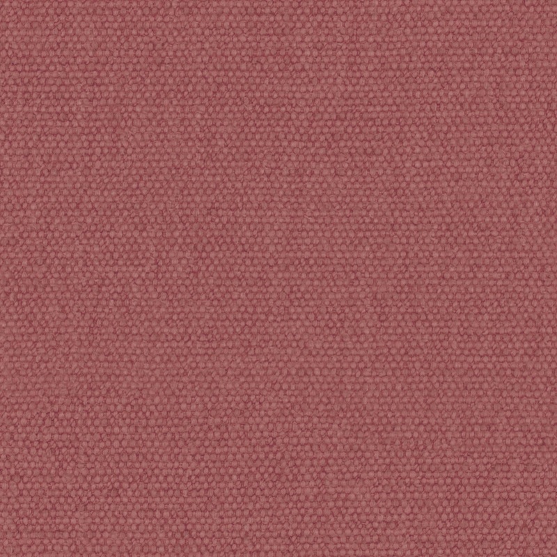 Warwick Jumbo Raspberry