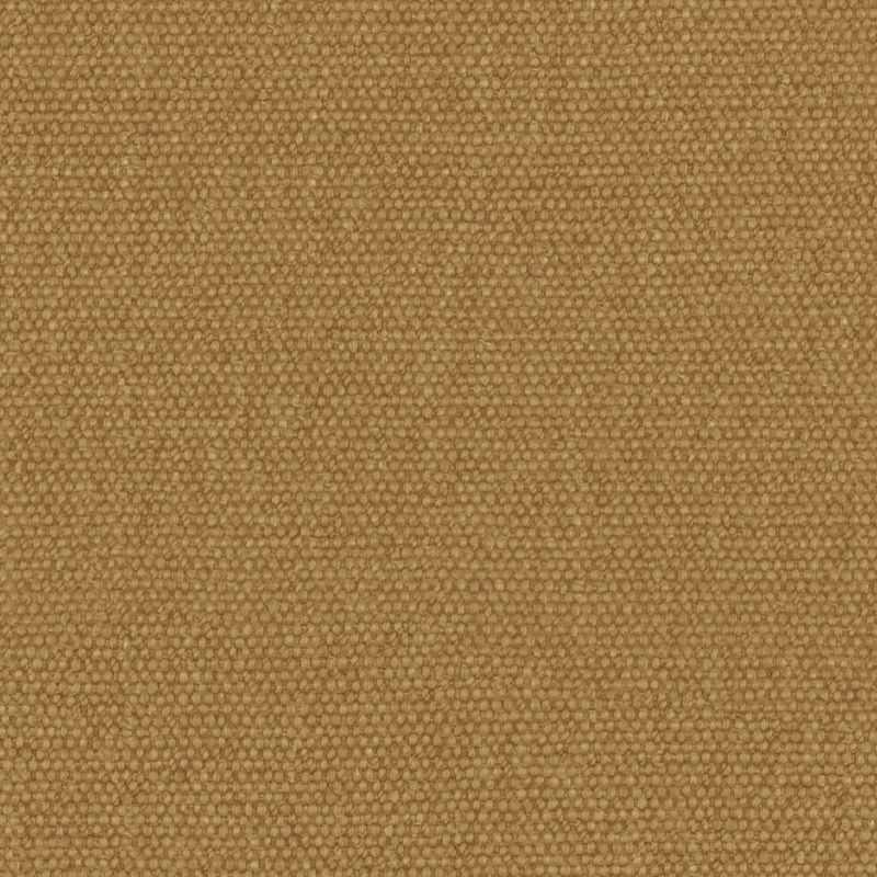 Warwick Jumbo Sahara