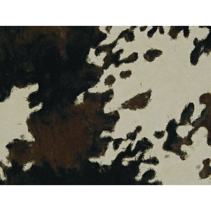 Art of the Loom Cowhide